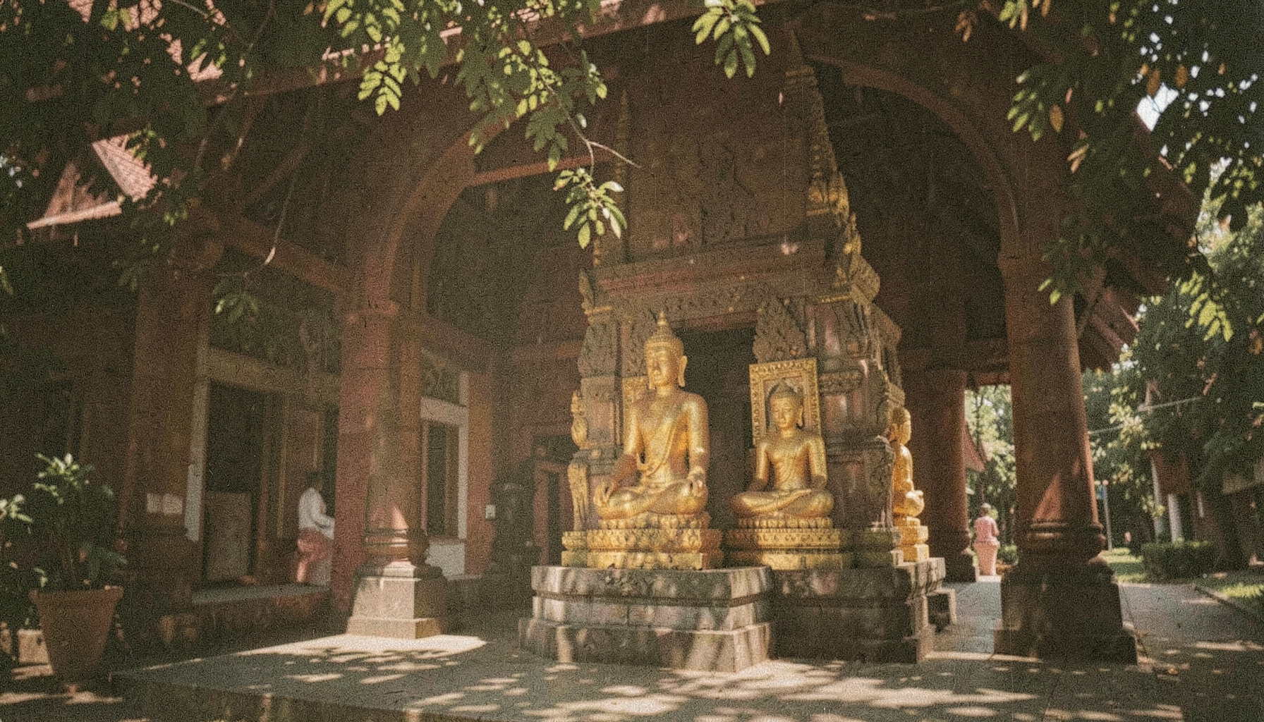 ภาพถ่ายฟิล์มเกรนละเอียด บรรยากาศภายในวัดไทยยามเช้า แสงทองอ่อนสาดผ่านใบไม้ เงาพระพุทธรูปสีทองตั้งสงบกลางศาลา โทนสีอบอุ่นน้ำตาลทองตัดกับเขียวหม่น